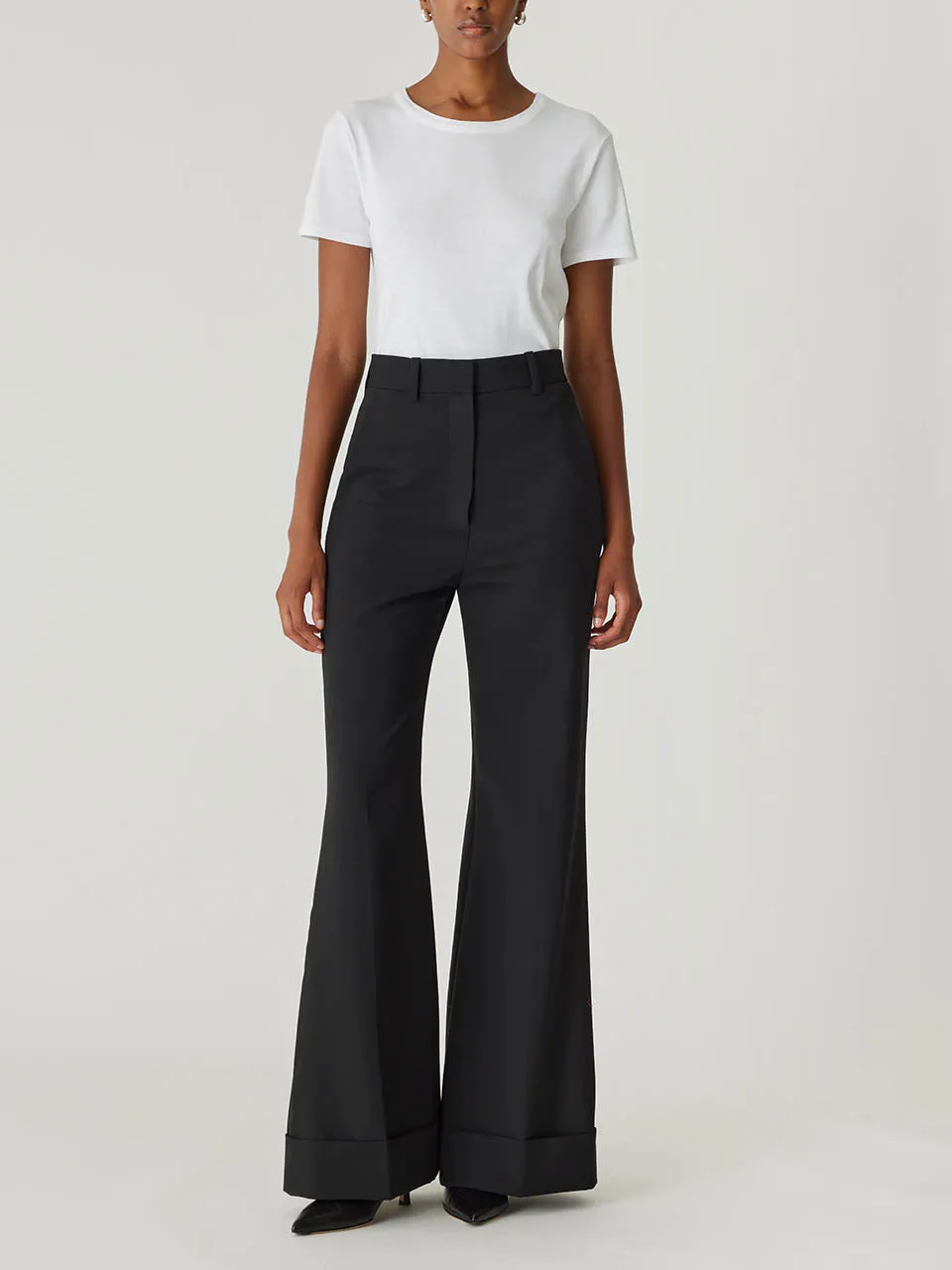 Refined Suiting Wide Leg Trouser