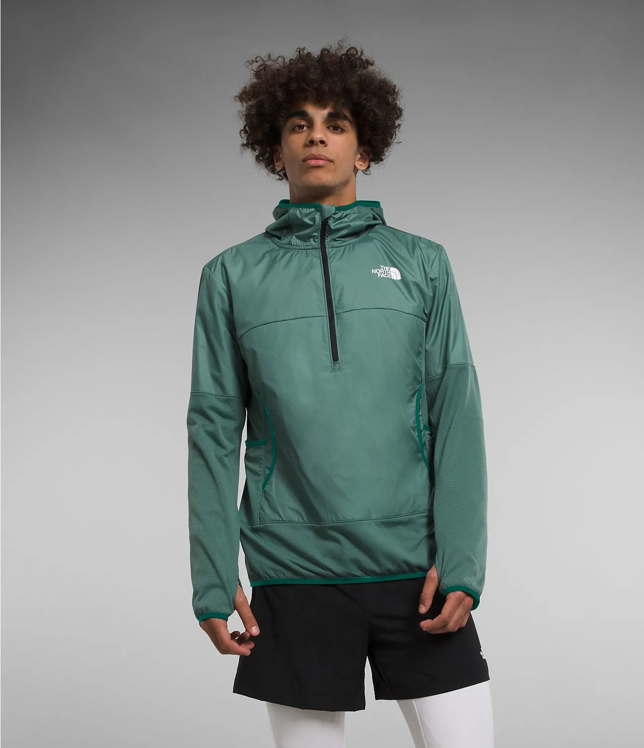 The North Face Men's Windwall 1/4 Zip Hoody